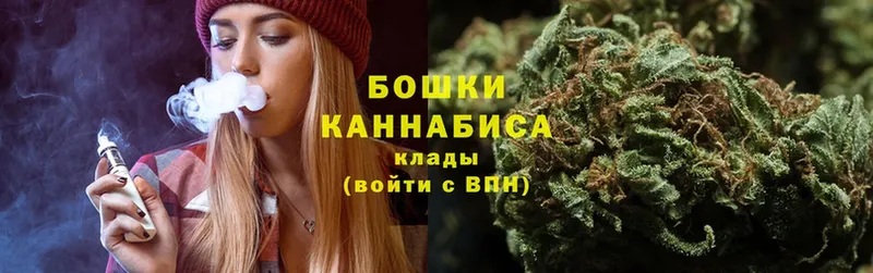 как найти закладки  Гурьевск  Шишки марихуана THC 21% 